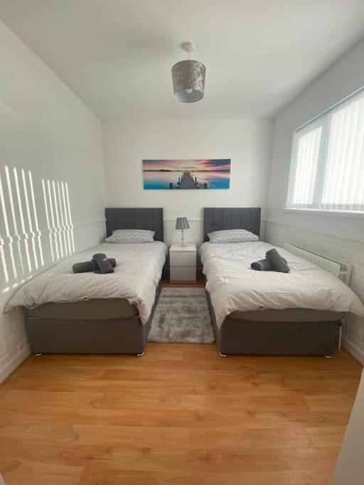 Modern Two Bed House Close To City Centre Belfast Extérieur photo