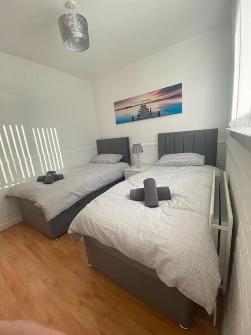 Modern Two Bed House Close To City Centre Belfast Extérieur photo