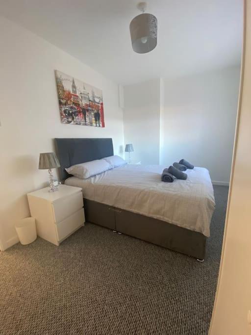 Modern Two Bed House Close To City Centre Belfast Extérieur photo